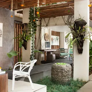 *** Hotel Grandmas Indonesia